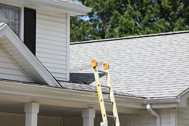 Best Stucco Siding  in Trempealeau, WI