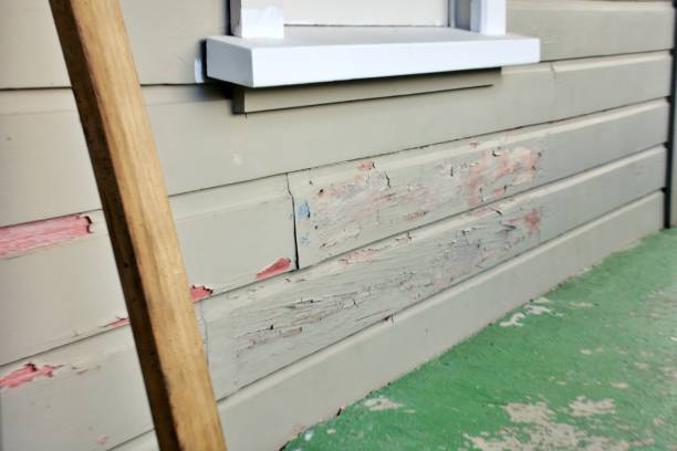 Siding Removal and Disposal in Trempealeau, WI
