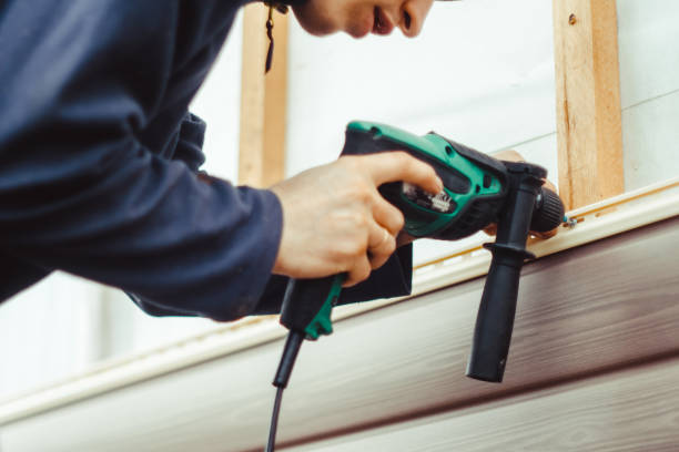 Best Insulated Siding Installation  in Trempealeau, WI